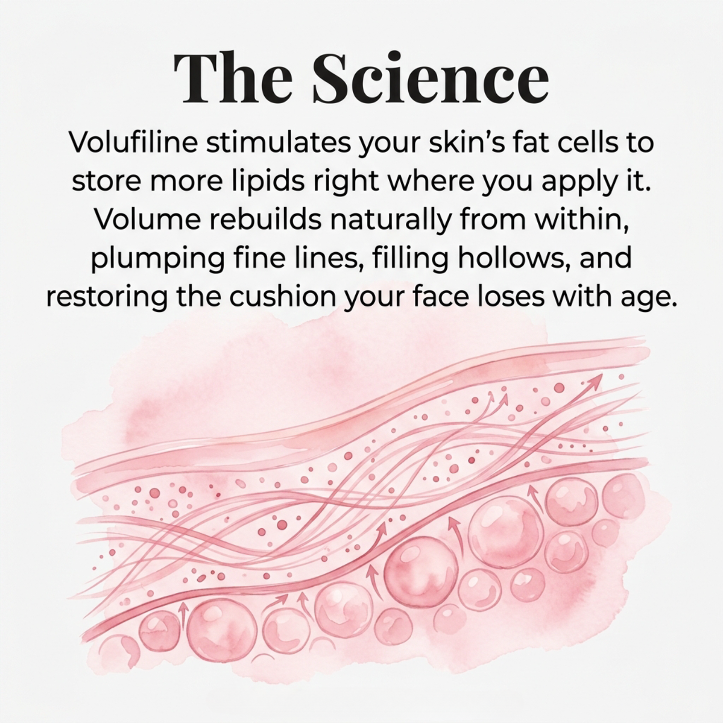Raznave™ Collagen Volume Multi Balm